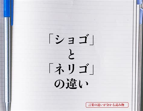 手書 意思|手書(シュショ)とは？ 意味や使い方